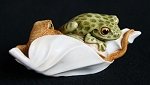 Tree Top Tag II Green Frog